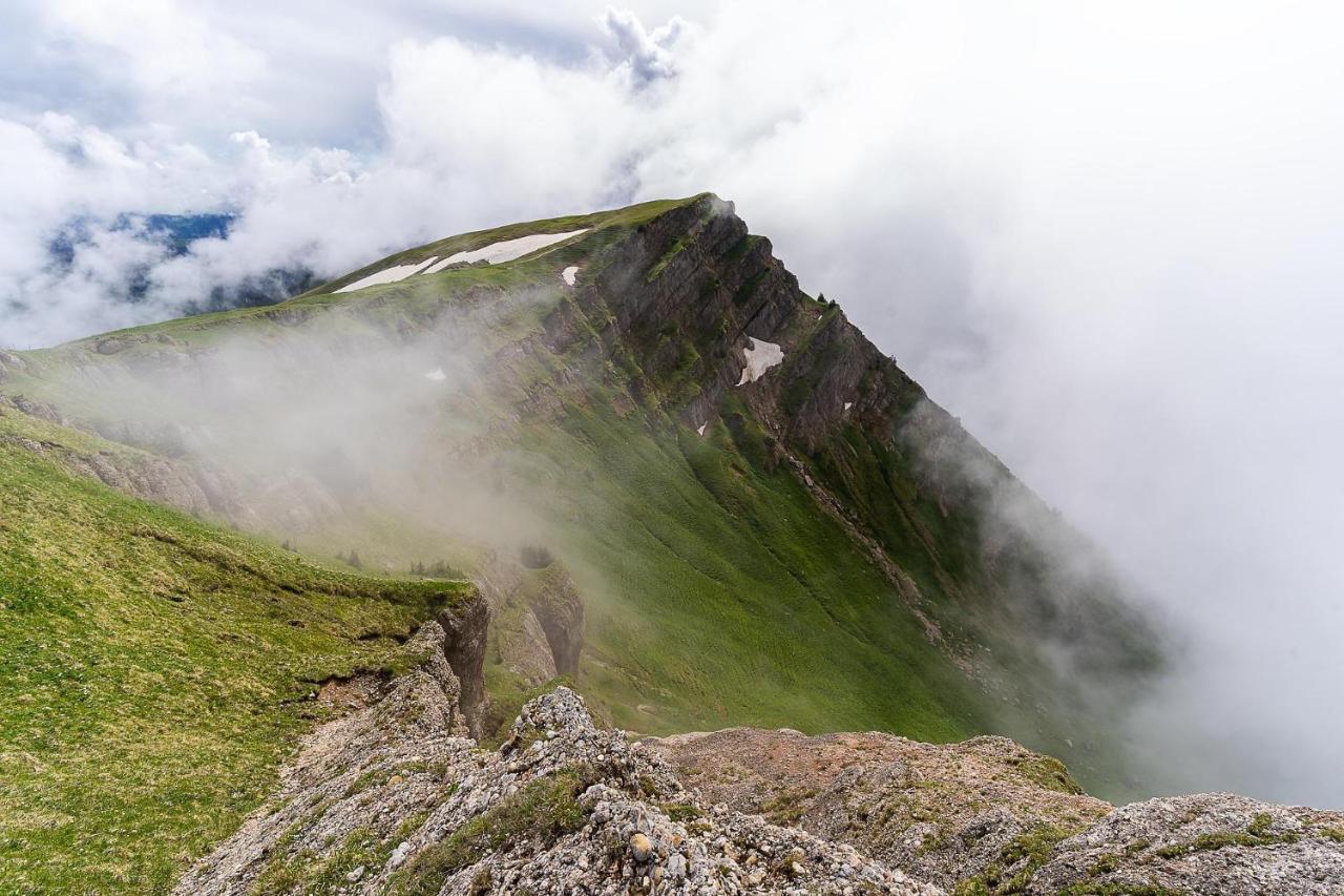 Gruenes Allgaeu Simon Held Opfenbach Exterior photo